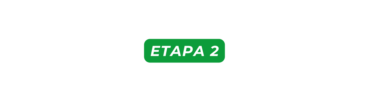 etapa 2